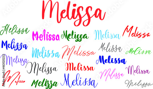 Melissa Baby Girl Name in Multiple Font Styles Typography Text