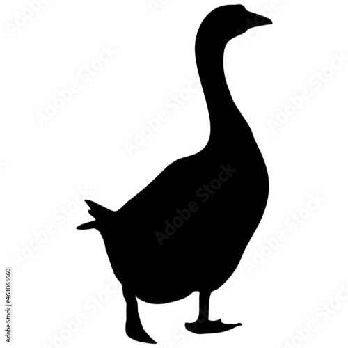 Silhouette of a grey goose on a white background