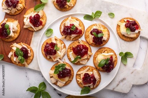 Party appetizers with turkey, brie and cranberry sauce