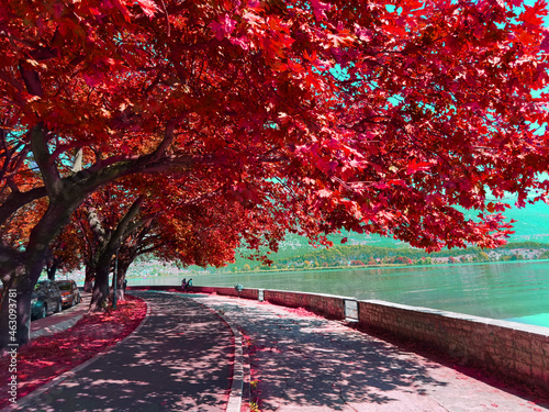 ioannina lake in autumn season with platanus trees reflecter in the water, greece