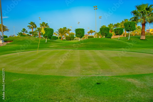 Golf terrain and palm trees