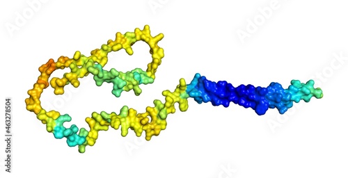 3D rendering of SLP adapter and CSK-interacting membrane protein as predicted by alphafold and colored according to confidence in the model. 