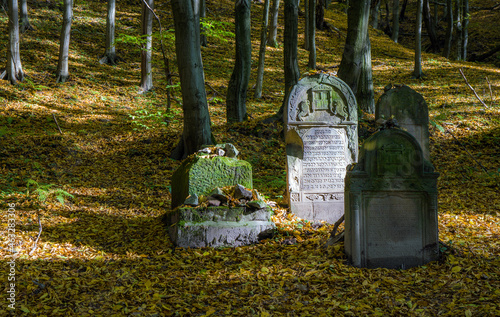 Historyczny cmentarz żydowski - Kazimierz Dolny 