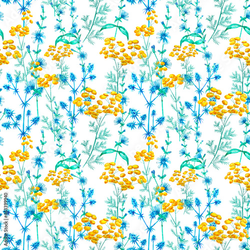 Watercolor pattern with meadow flowers. Tansy, chicory, thistle and wild chamomile.
