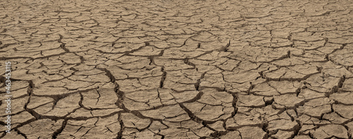 Cracked dried brown soil. Barren land texture, wide panorama with deep focus