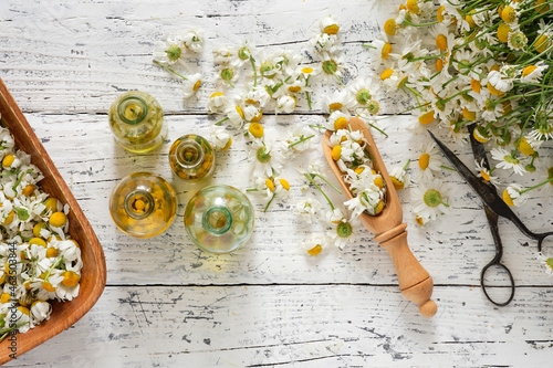 Bottles of chamomile and tansy essential oil and infusion, wooden bowl of plucked chamomile flowers, bunch of daisies on wooden table, top view, flat lay. Alternative herbal medicine.