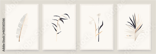 Modern hand drawn abstract plant art design illustrations. Trendy minimal floral print set. White, pastel, beige, gold colors.