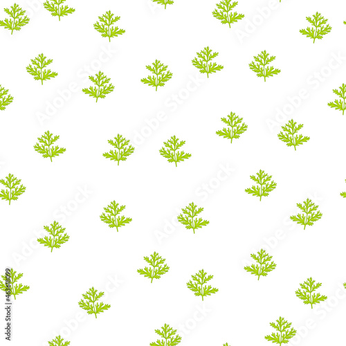 Seamless pattern wormwood on white background. Beautiful plant ornament summer green color. Random texture template for fabric.