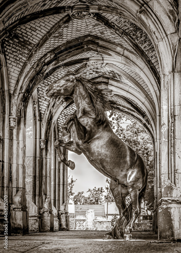 koń stojący dęba w średniowiecznym zamku