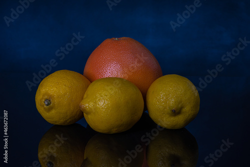 owoce cytrusowe izolowane, grejpfrut i cytryny