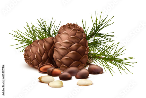  vector icon. Pine nuts with or without shell and fir tree and pine cone. Isolated on white background.