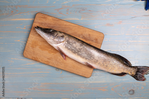 Fresh pike fish on the table is ready for cooking 