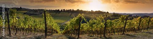 Beautiful panoramic view of vineyards under the sunset light in autumn. Chianti Classico Area near Florence, Italy.