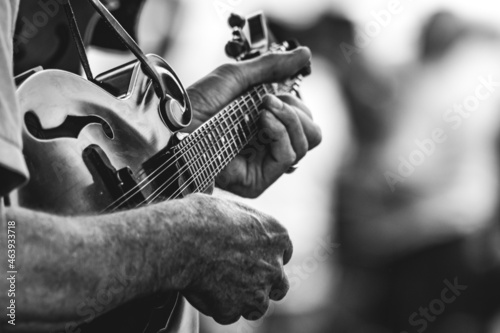 mature man playing mandolin instrument in outdoor bluegrass concert