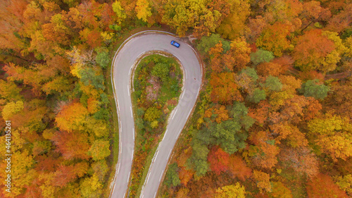 TOP DOWN: Car drives into a hairpin turn of a switchback road crossing a forest.