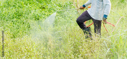 Man crop spraying grass field in the durian farm field with chemical killer plant.Farmer spraying pesticide.Herbicide, Agriculture chemicals, Farm with worker in thailand.Grass killer.sprayer crop.