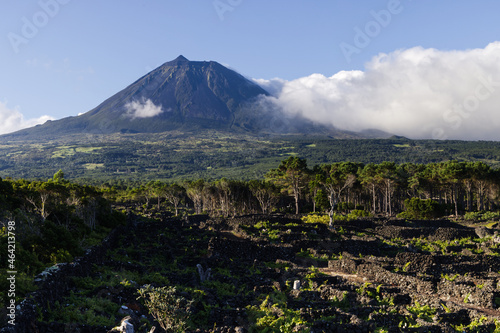 Typical landscape of the island of Pico with the mountain Pico in the background, Azores
