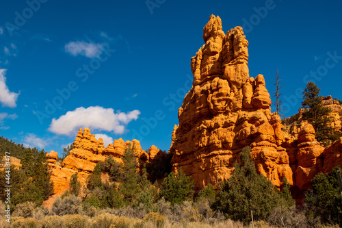 Hoodoos in red canyon 