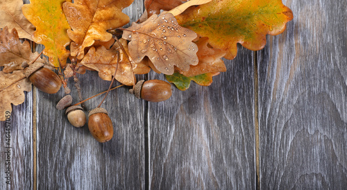 ripe acorns and oak leaves close up on rustic wooden background. autumn minimal composition. forest harvest, fall season. Flat lay