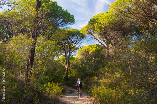 Woman riding MTB in Maremma nature reserve, Tuscany, Italy. Cycling among extensive pine forest olive trees and green woodland in natural park, dramatic coast