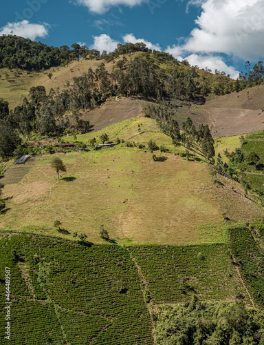 Cultivations on the steep slope of the deforested mountain between Tolima and Quindio, Colombia
