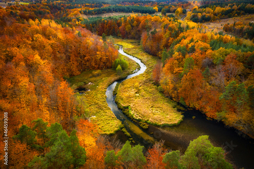 Autumnal landscape of the forest and twisted river in Kashubia. Poland