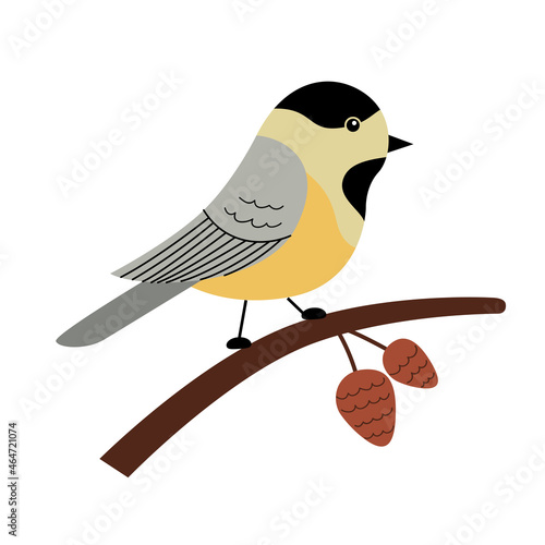 Cute chickadee on a branch with cones. Vector illustration in a trendy hand drawn style. Perfect for a print, postcard or label. Stylized character