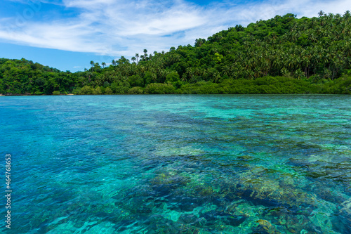 Pristine water at the coral garden in Puerto Galera, Mindoro Island, Philippines. Travel and landscapes.