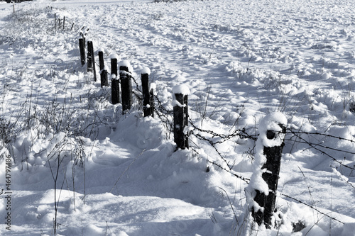 Barbed wire fence with snow