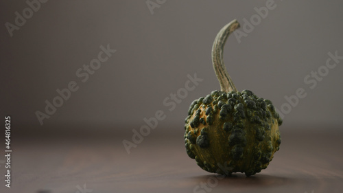small decorative warty pumkin on walnut table with copy space