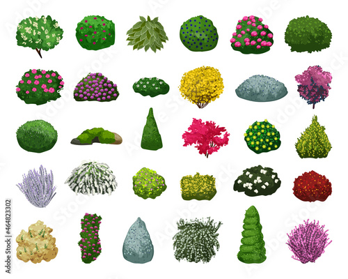 Vector collection of colored detailed bushes. Landscape elements isolated on white background.