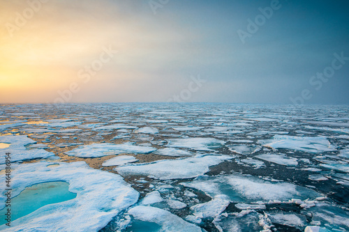 Arctic Ocean Sea Ice