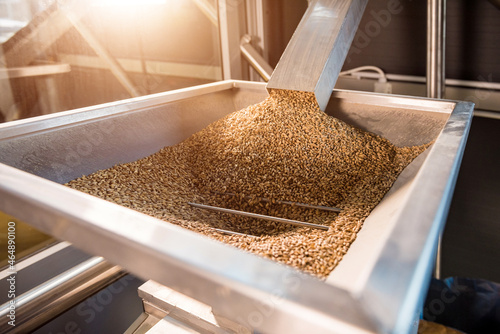 The technological process of grinding malt seeds at the mill