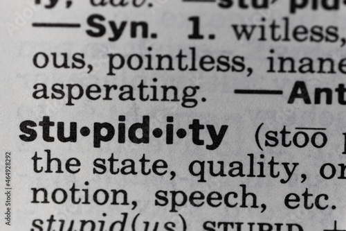 definition of stupidity macro shot of dictionary texture paper