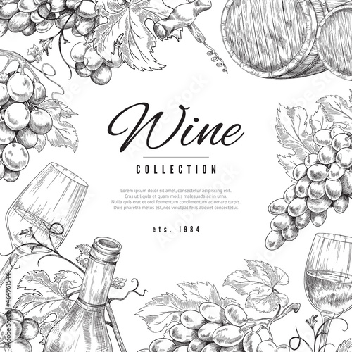 Wine grape vector background sketch style