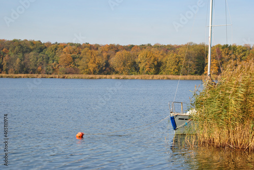 Zdjęcie przyrody przedstawiające zacumowaną żaglówkę przy brzegu jeziora