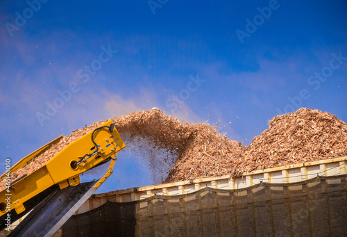 Biomass Forestry Wood Chip Energy
