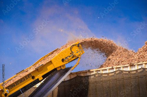 Biomass Forestry Wood Chip Energy