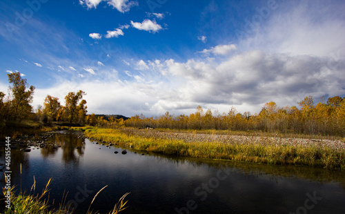 Stillwater River Aspens in Fall