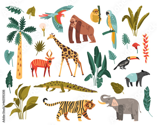 Jungle Habitat Icon Set