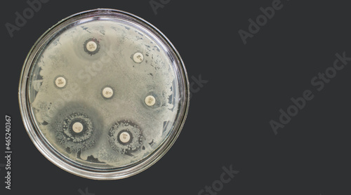 Antibiogram multiple drug resistance bacteria Antimicrobial Susceptibility Test