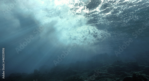  Save Download Preview Artistic underwater photo of water of life in rays of sunlight. For your luxury interior design.
