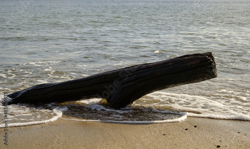 Pień na plaży, kształt wyłaniający się z morza, A trunk on the beach, a shape emerging from the sea