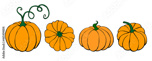 Set of vector color pumpkin in flat style, isolated. Symbol Halloween, autumn, crop, thanksgiving day, fruitful year