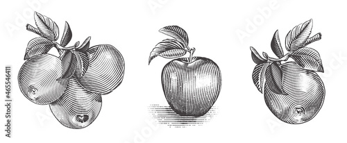 Apple set with fruits and branches. Hand drawn tree branch with apples and leaves. Engraving style. Vector illustration.