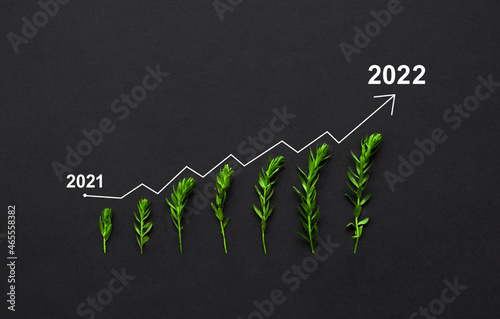 Seedling are growing with growth comparative year 2021 to 2022. New year 2022 success, strategy, plan, goals and visionConcept of business growth, profit, agriculture, development and success graph.