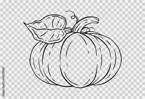 Outline pumpkin hand draw with brush style isolated on png or transparent texture,Halloween party background ,element template for poster,brochures, online advertising,vector illustration