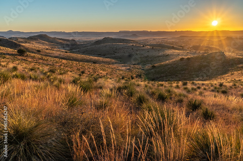 A desert scene with yucca cactus, wild grass, hills and mountain in the distance with clear sky and sun rising, Davis Mountains State Park, Texas