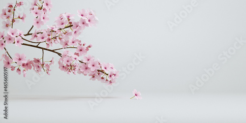 japanese style minimal cherry blossom white background for product presentation. 3d rendering illustration.