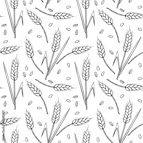 Wheat spikelets and grains, vector seamless pattern. Outline drawn in sketch style isolated. Design of print, wrapping paper, packaging on theme of bakery products, flour, harvest, thanksgiving